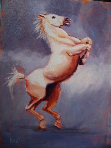 white horse on back legs