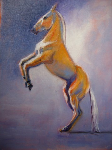 white horse on back legs