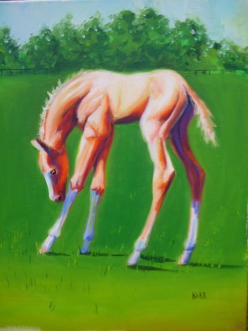 foal with long legs