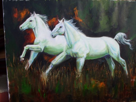 two white horses in motion