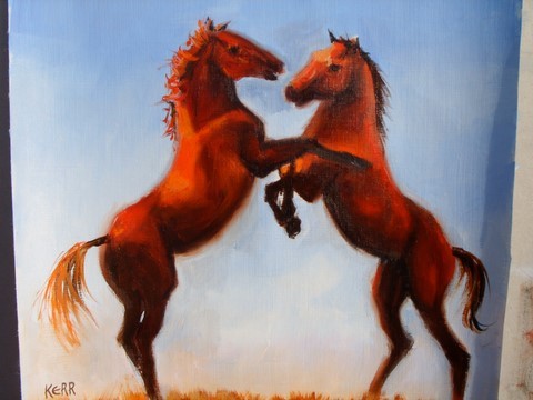 two horses playing