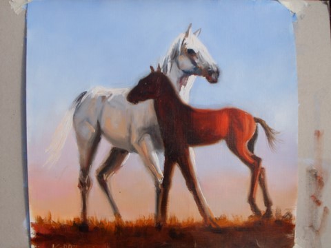 white horse with foal