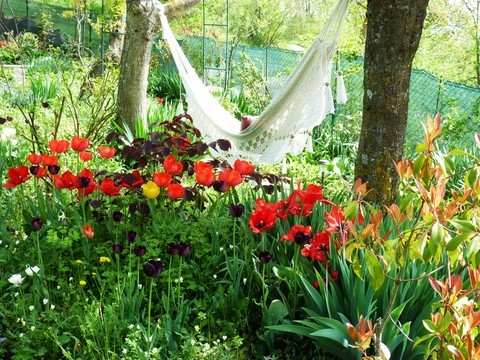hammock with tulips