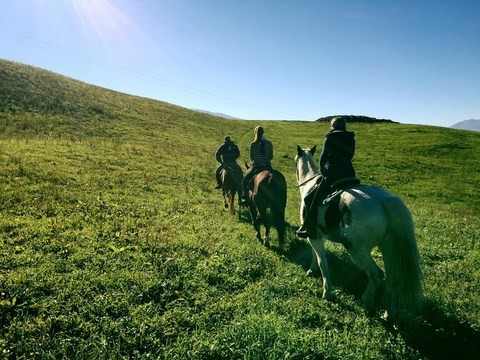 Three people horse trekking in a field